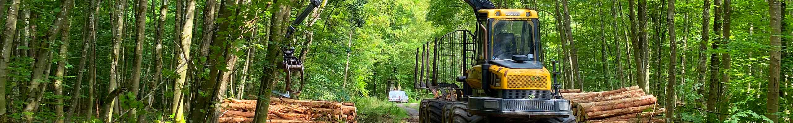 Mit einem Forstkran werden im Wald Baumstämme bewegt