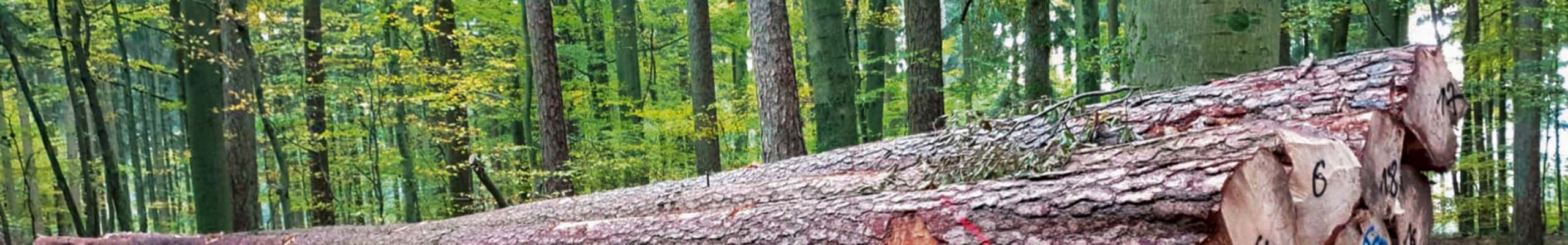 Forstliche Vereinigung Odenwald-Bauwald eG Dienstleistungen